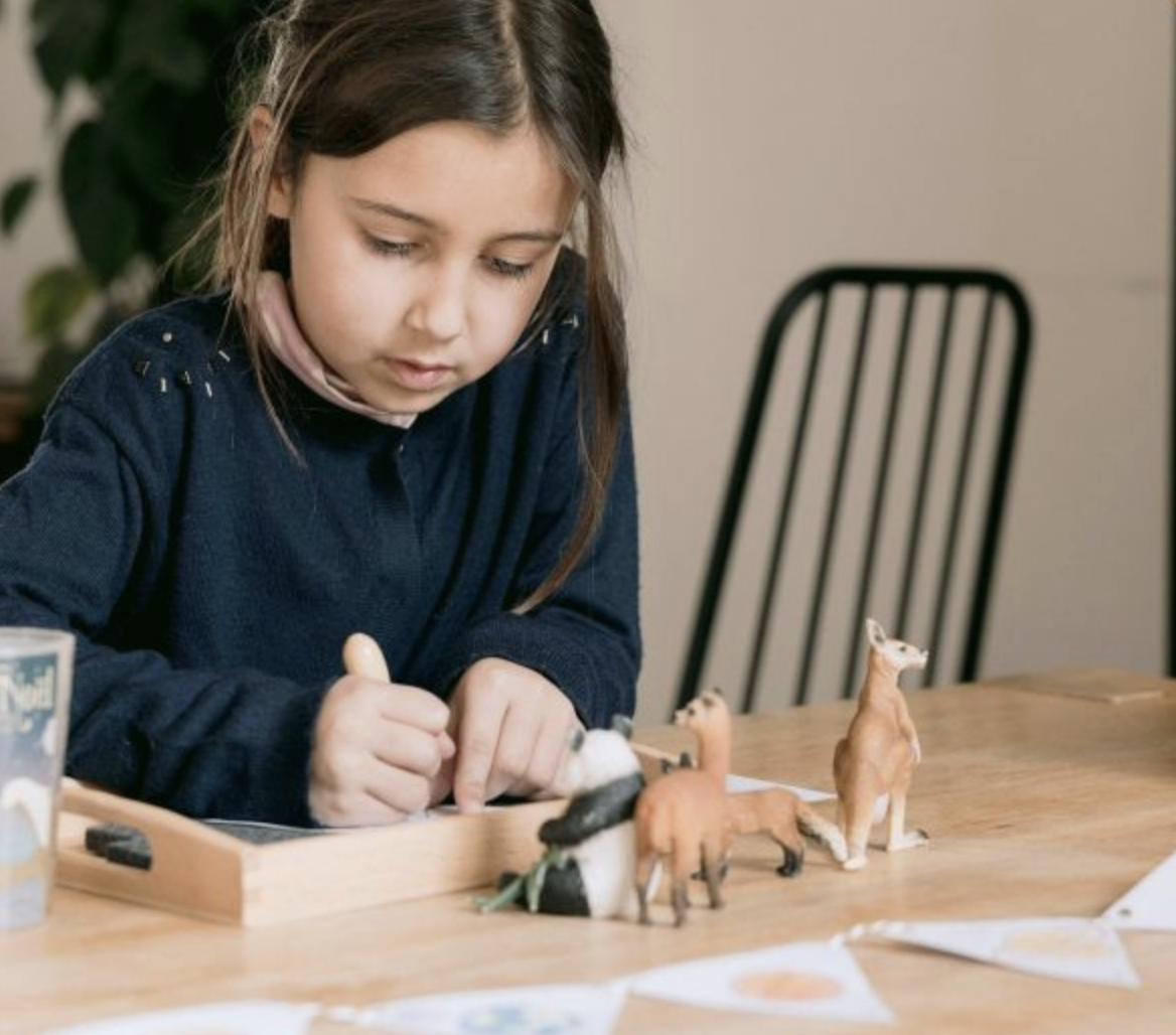 Coffret-cadeau-enfant-Montessori-kit-Animaux-monde