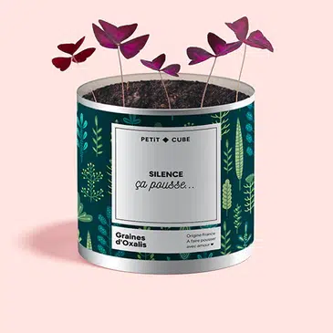 Idee-cadeau-femme-Petit-Cube-Plantes