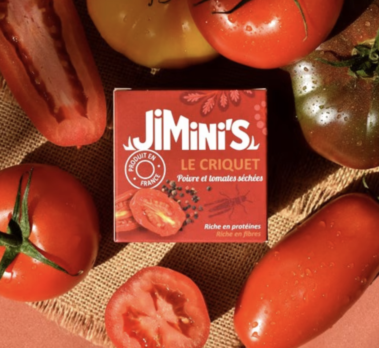 Idee-cadeau-secret-santa-Nature-et-decouvertes-Insectes