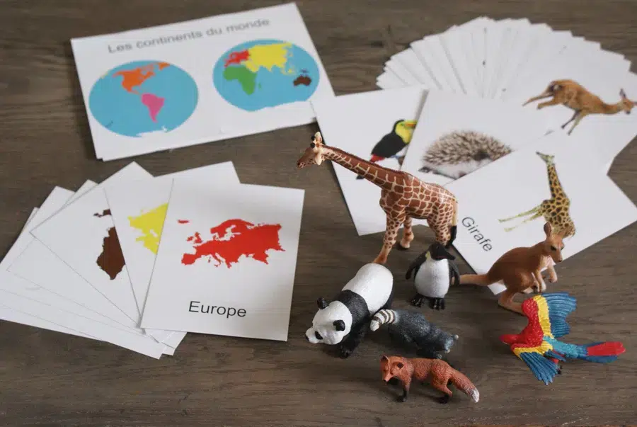 Le coffret Animaux du monde de Ma Montessori Box