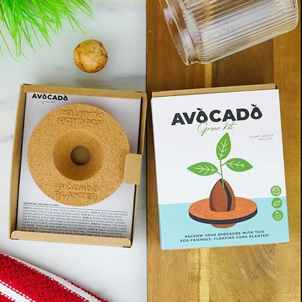 Mieux-que-des-fleurs-Kit-Avocado
