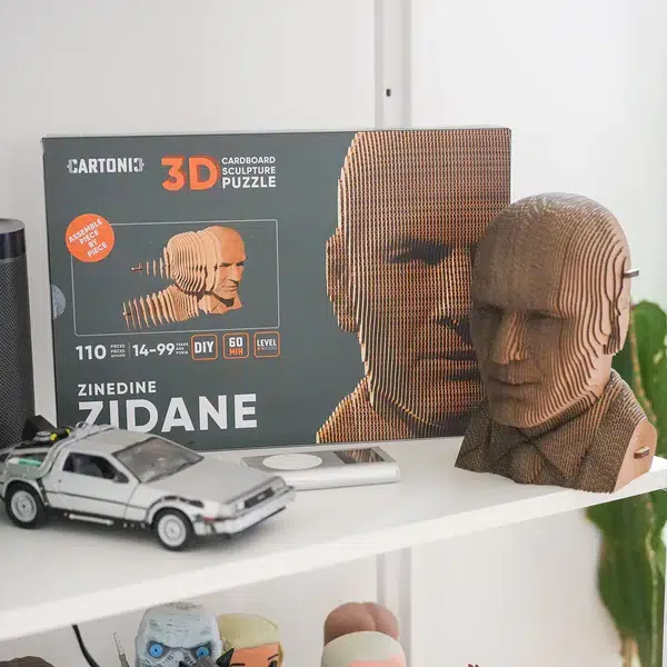 cadeau-anniversaire-homme-zidane-sculpture-carton-mieux-que-des-fleurs