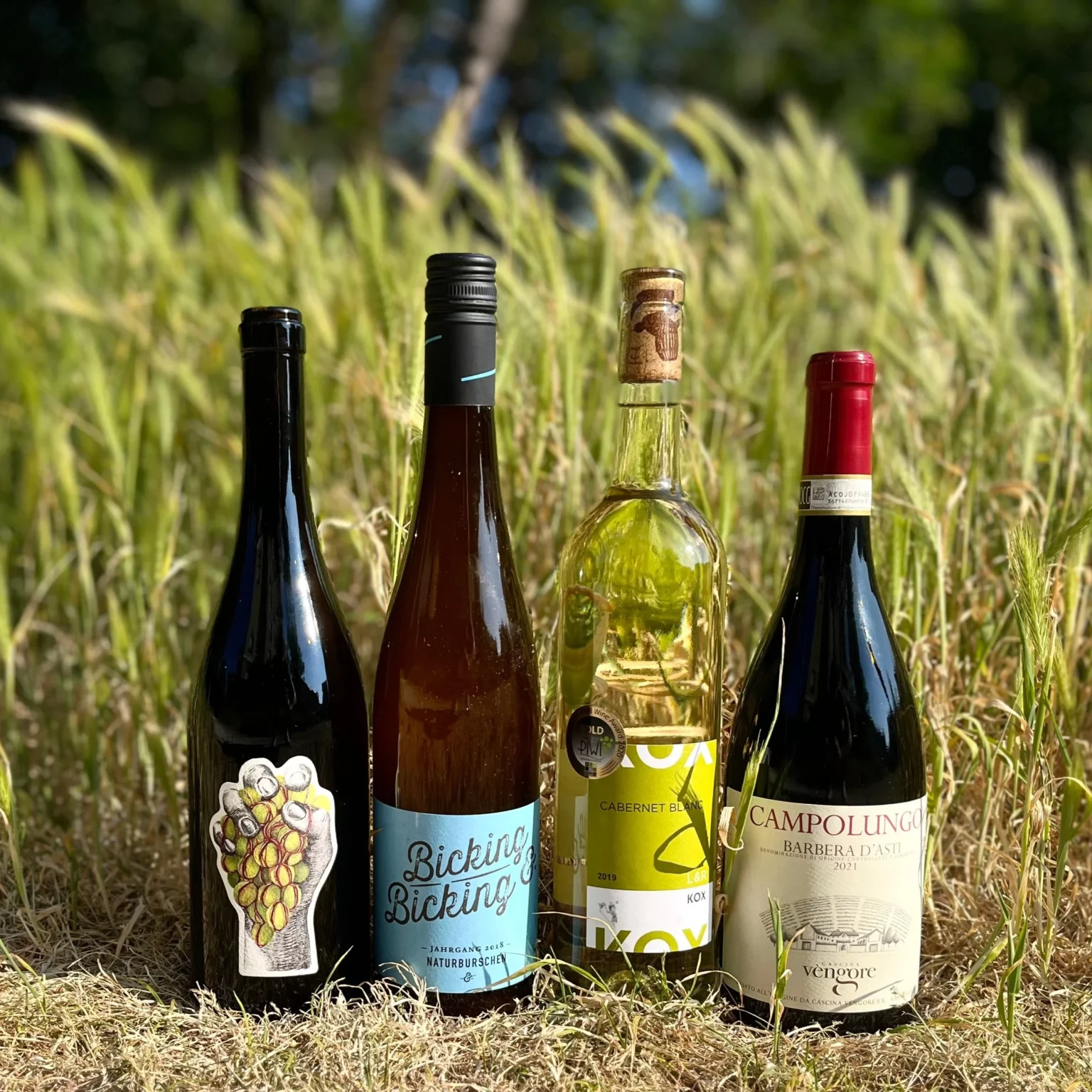 idee-cadeau-femme-les-vins-du-monde-un-monde-en-bouteille