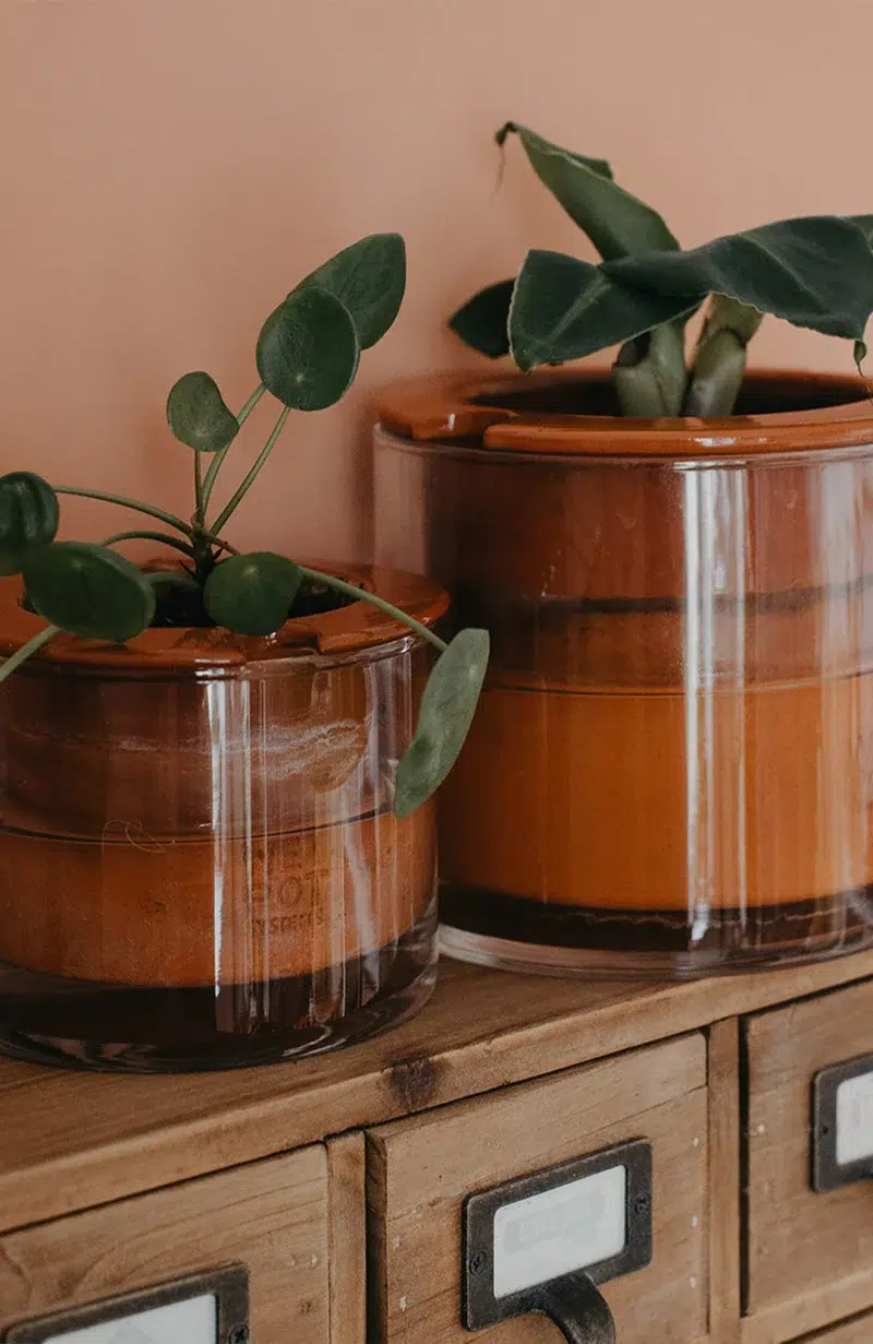 Cadeaux-Anniversaire-Femme-35-Ans-Les-Raffineurs-Pot-Ceramique