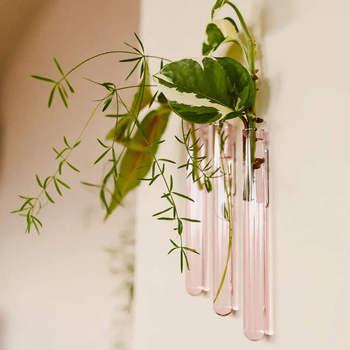 Cadeaux-Anniversaire-Femme-35-Ans-Les-Raffineurs-Set-de-3-soliflores-magnetiques