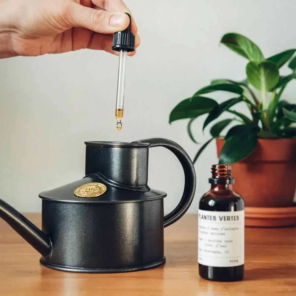 Idee-cadeau-decoration-Les Raffineurs-Vitamines