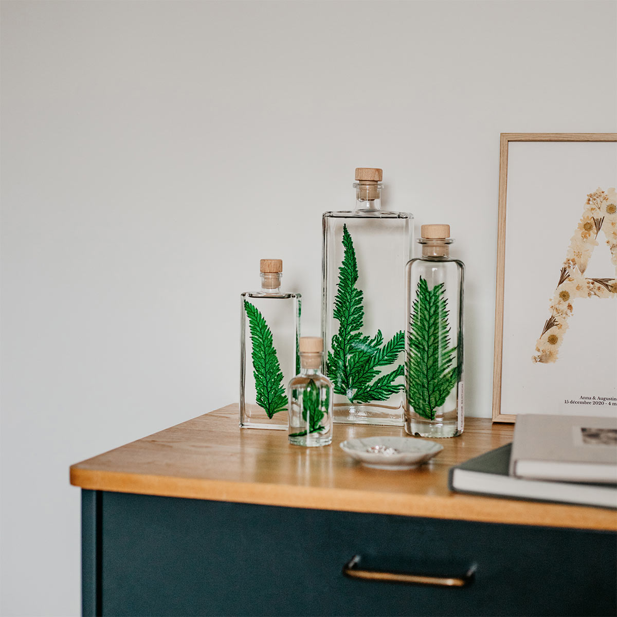 Les-raffineurs-Plantes-immergees