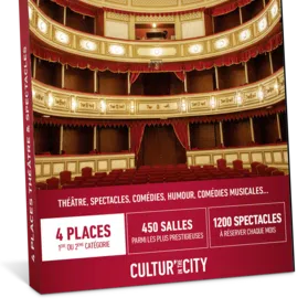 box-activites-4-places-theatre-culturin-the-city (2)