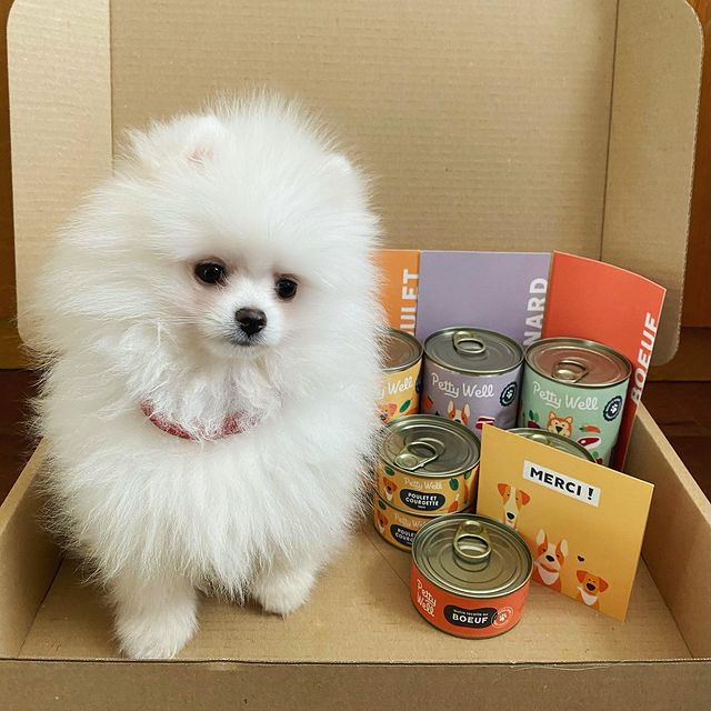 coffret-degustation-patees-poulet-boeuf-petty-well