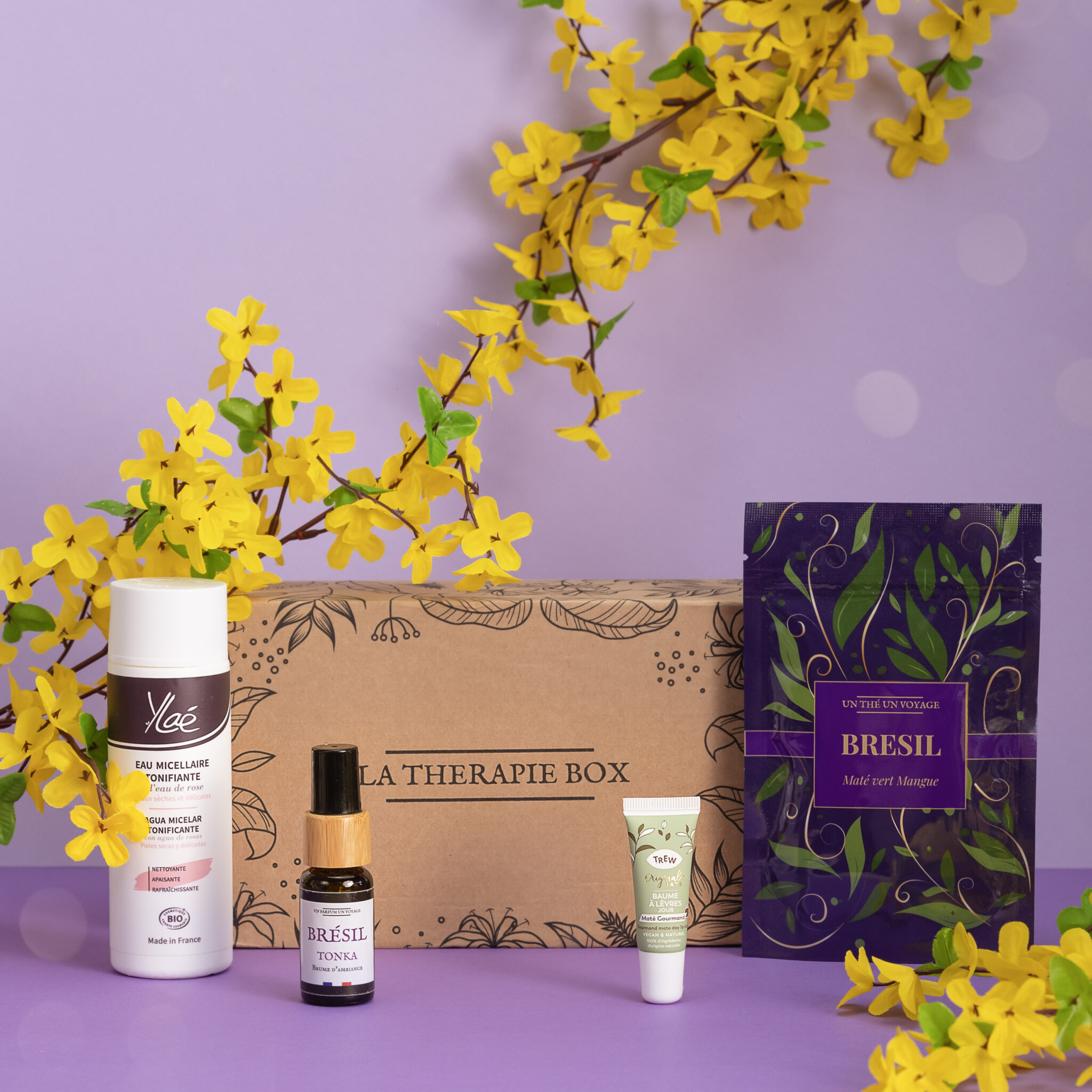 la-therapie-box-bresil