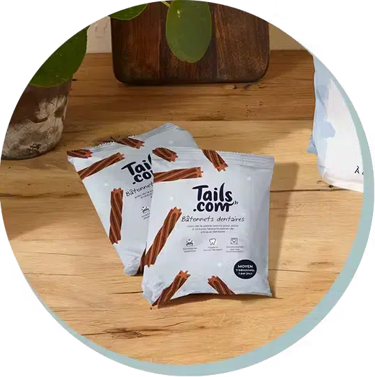 tails-4