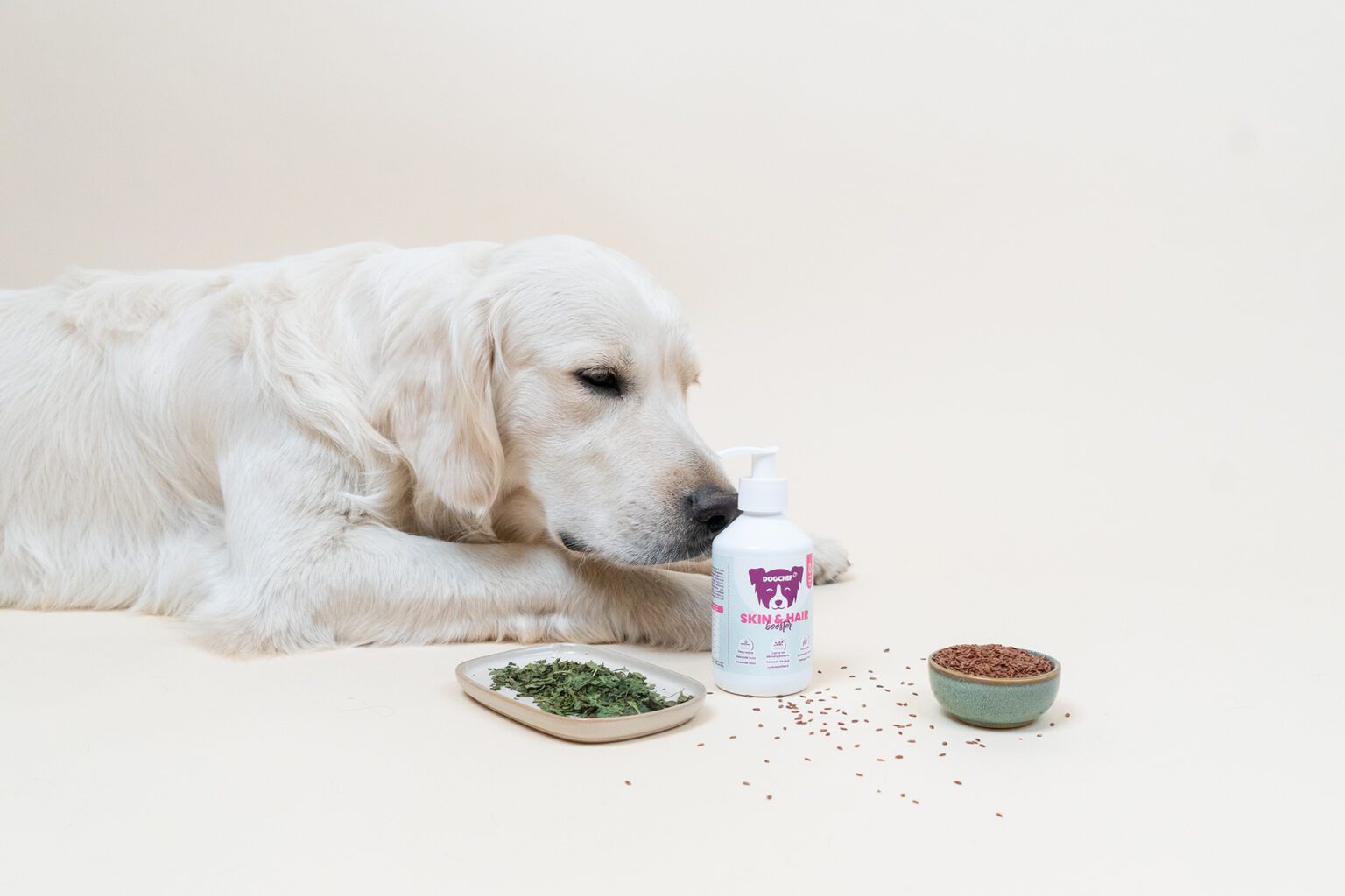 Cadeau-chien-Dog-Chef-Booster