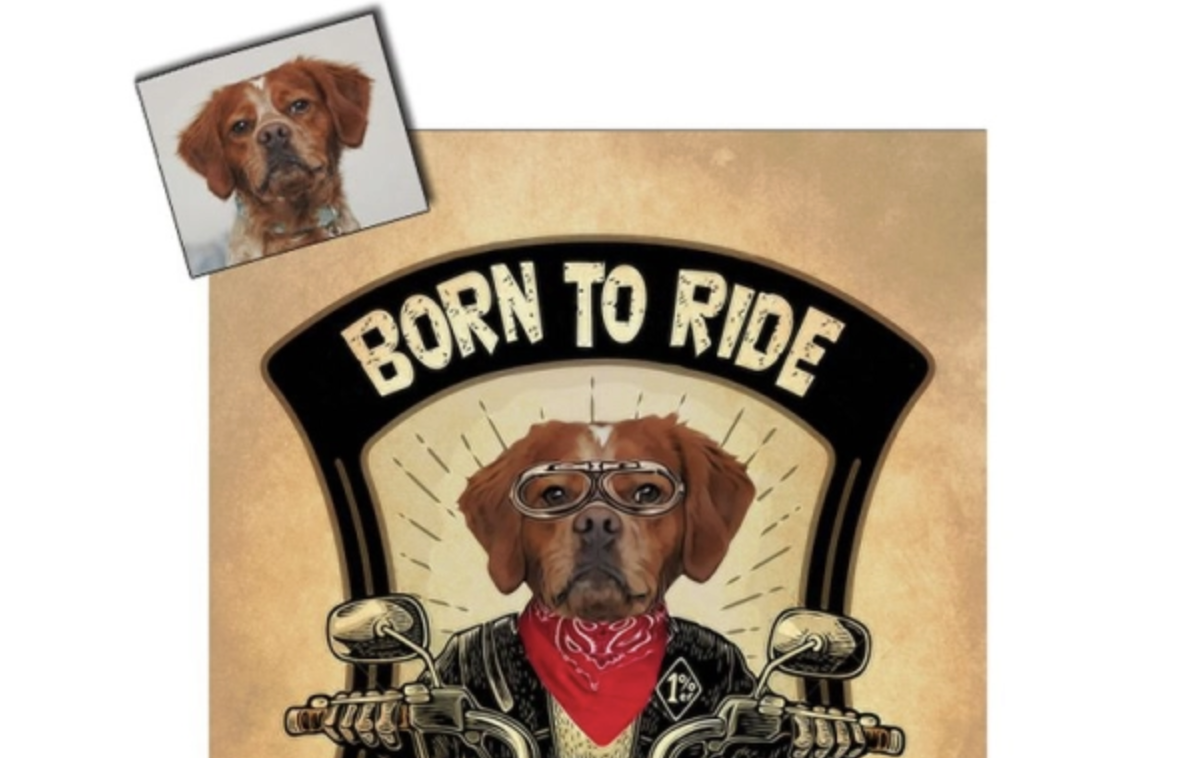 Cadeau-pour-chien-Amikado-Tableau