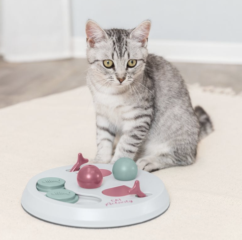 Cadeaux-chat-Zooplus-Jeu