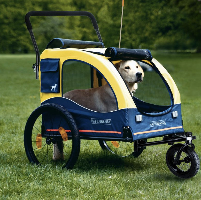 Cadeaux-chien-Zooplus-Velo