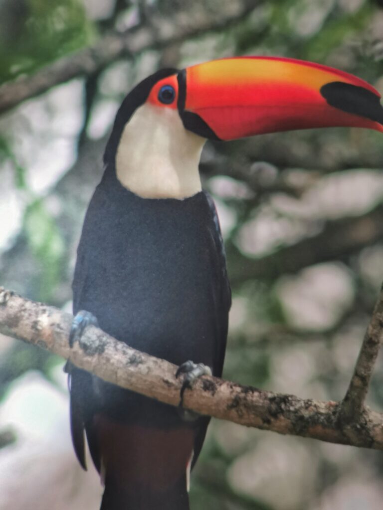 Tout Doux Box - Été 2023 Test box Tout Doux Box6 3