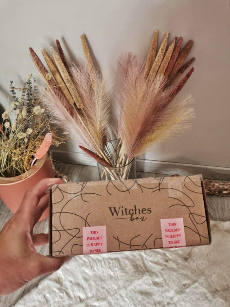 Witches Box - Juillet 2023 Witches Box - Juillet 2023 Test box Witches box juillet 2023