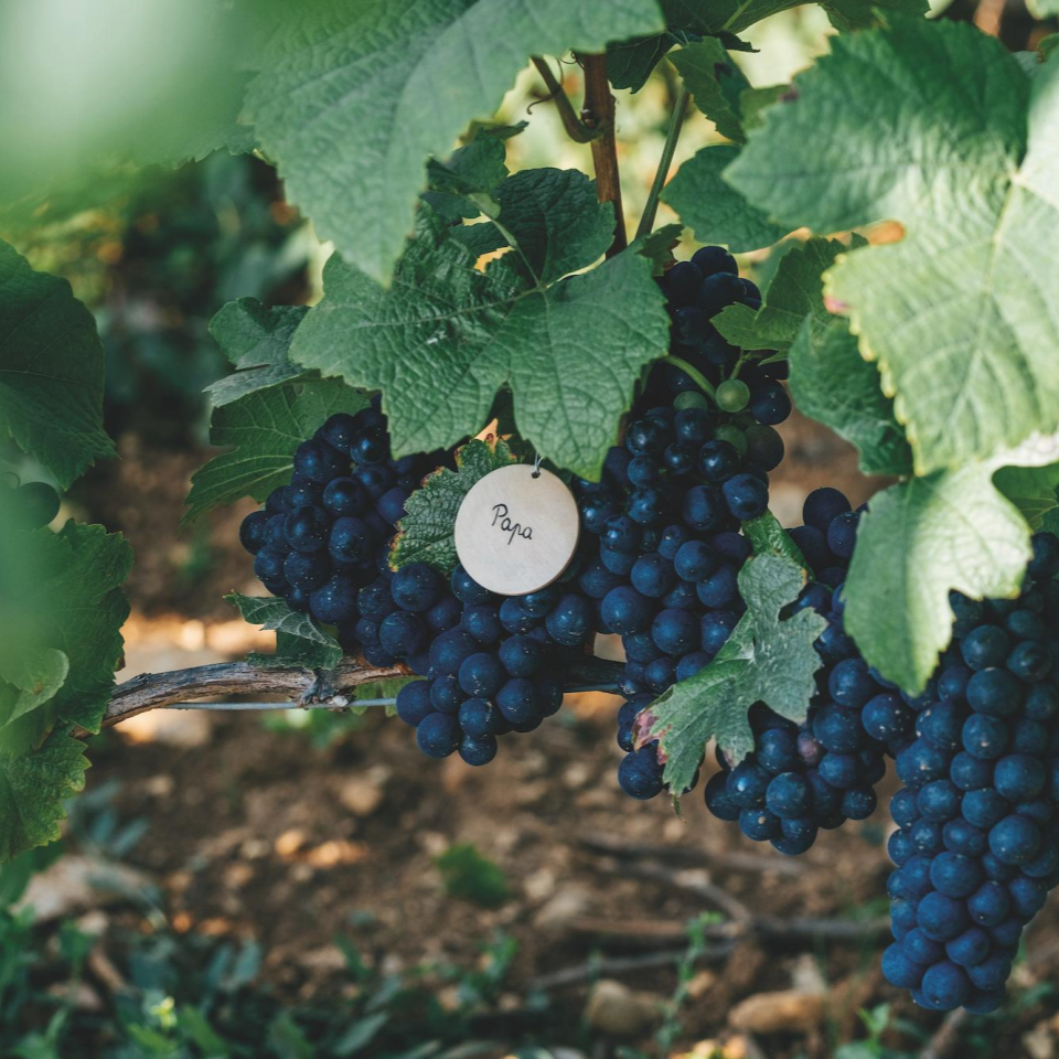 concours-fete-des-peres-cuvee-privee