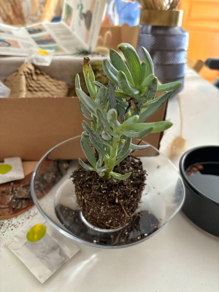 Hello Kit - La box Kokémada Test box test Hello Kit Blog Hello Kit Test14