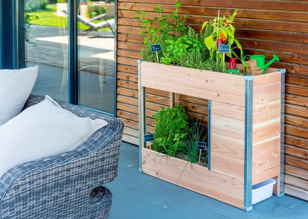 Les 10 meilleurs cadeaux pour les passionnés de plantes Astuces et conseils cadeaux passionnés de plantes Cadeaux pour les passionnes de plantes10