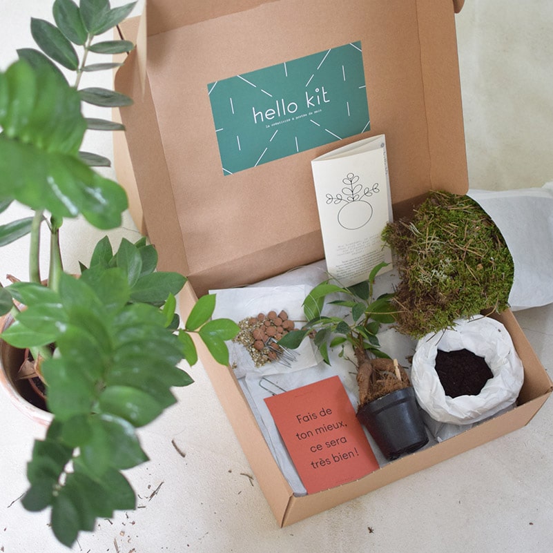 Cadeaux-pour-les-passionnes-de-plantes6