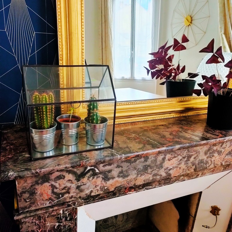 Les 10 meilleurs cadeaux pour les passionnés de plantes Astuces et conseils cadeaux passionnés de plantes Cadeaux pour les passionnes de plantes9