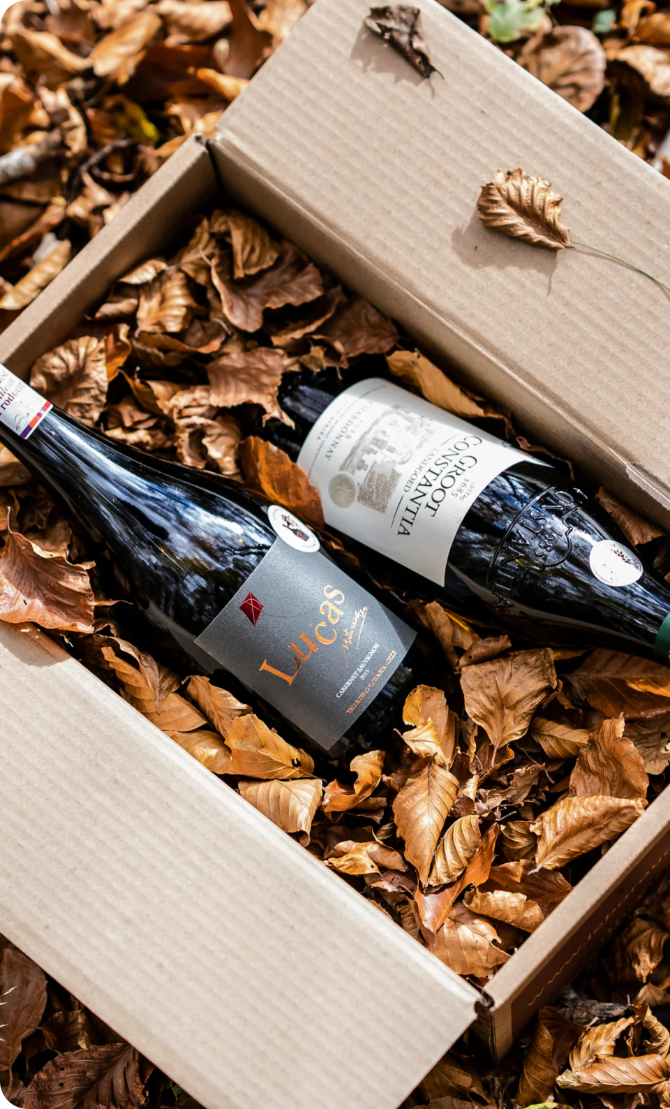 le-baroudeur-du-vin-6