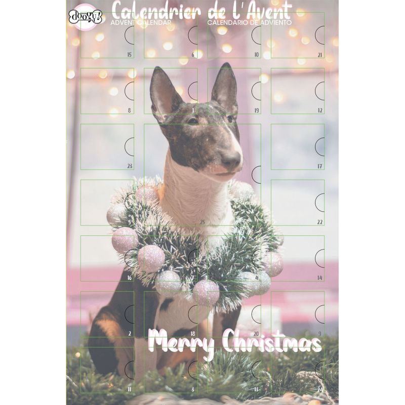 Calendrier-de-l-avent-chien-Zooplus-Merry-Christmas
