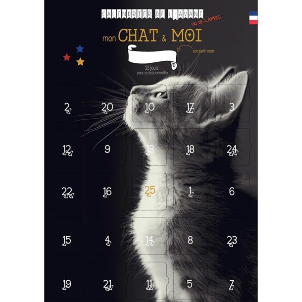 Calendrier-de-lavent-chat