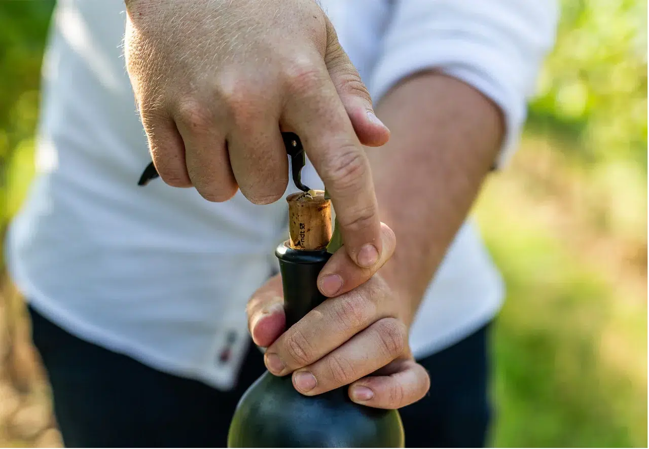 un-monde-en-bouteille-8