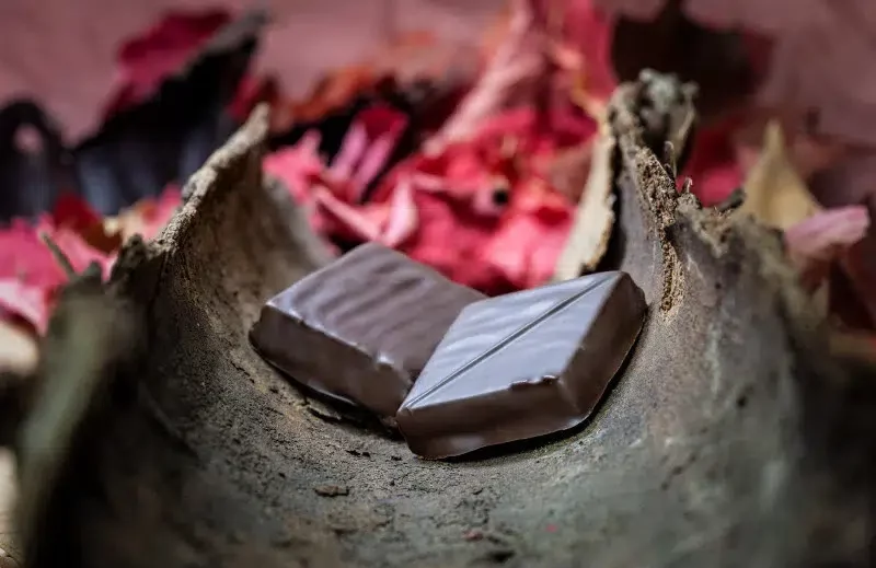 Incroyables-chocolats5