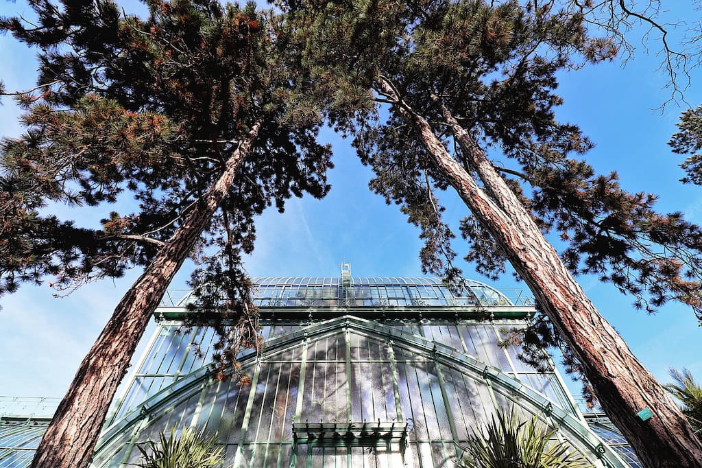 Ce Qu'Il Faut Vraiment Voir À Paris Été 2025 (Sans Se Mentir) Paris Été 2025 Ce qu'il faut vraiment voir à Paris été 2025 (sans se mentir) Astuces et conseils paris été 2025 Ce quil faut vraiment voir a Paris cet ete sans se mentir 2