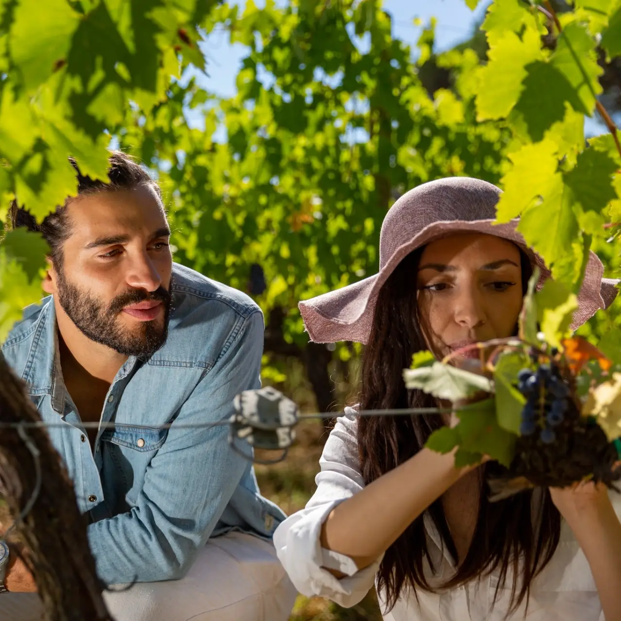 Partenaires-WInalist