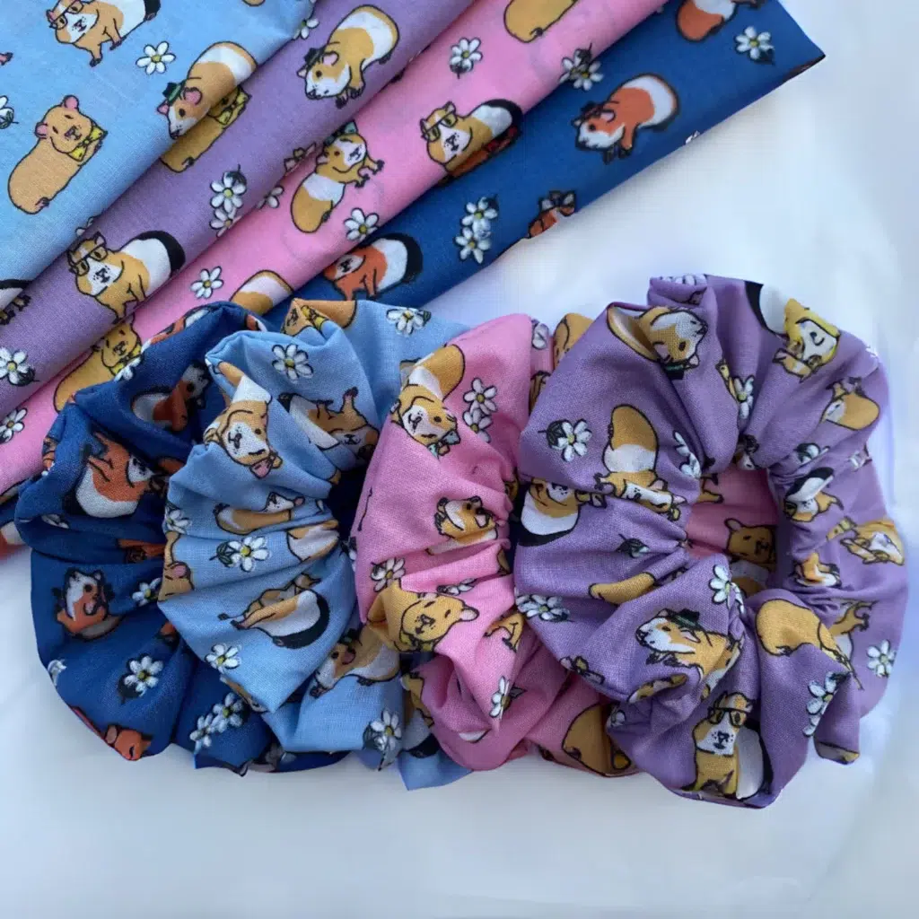 27 Idées De Cadeaux Pour Cochon D’inde (Et Son Fan Ultime) Cadeaux Pour Cochon D’inde 27 idées de cadeaux pour cochon d’Inde (et son fan ultime) Astuces et conseils cadeaux pour cochon d’Inde Cadeau cochon d inde Etsy Chouchous