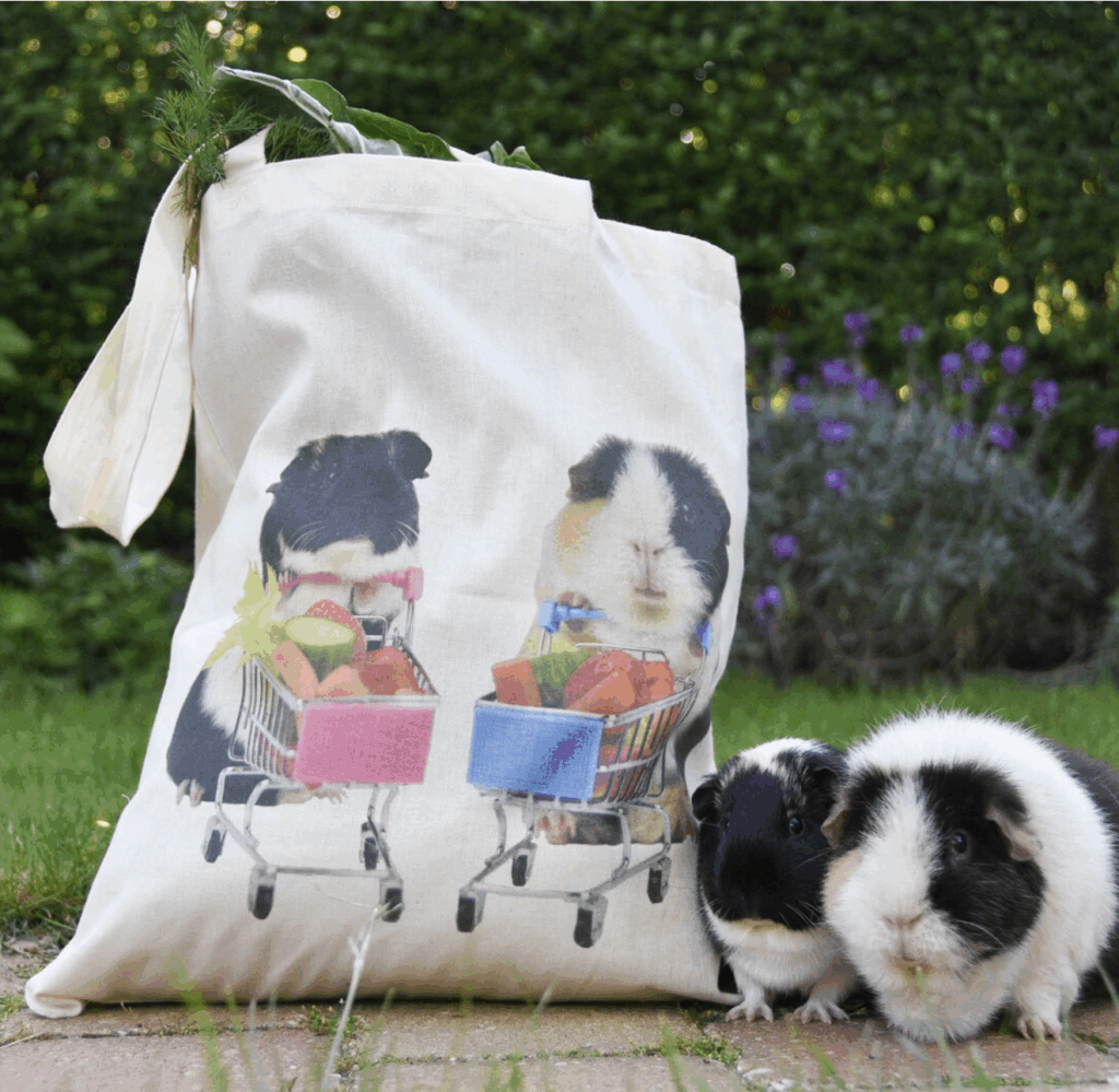 27 Idées De Cadeaux Pour Cochon D’inde (Et Son Fan Ultime) Cadeaux Pour Cochon D’inde 27 idées de cadeaux pour cochon d’Inde (et son fan ultime) Astuces et conseils cadeaux pour cochon d’Inde Cadeau cochon d inde Etsy Tote Bag