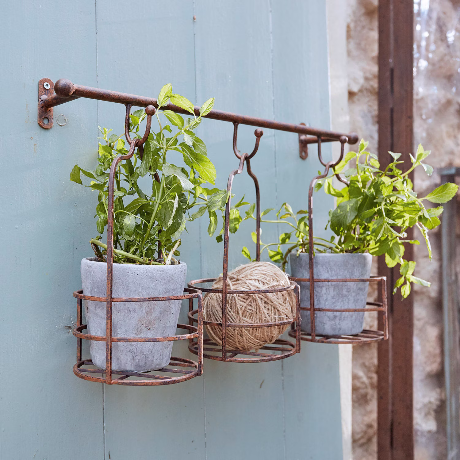 Cadeaux-Anniversaire-Femme-85-Ans-Loberon-Plantes