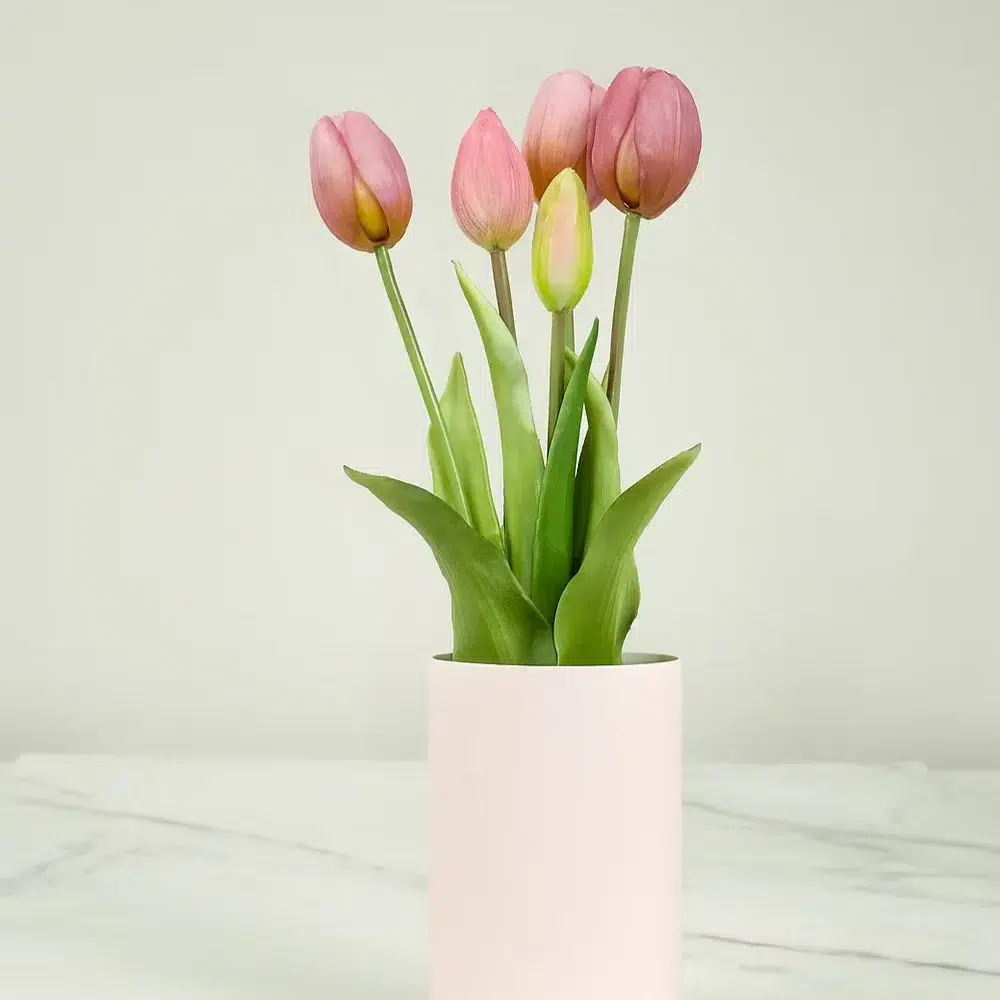 Idee-cadeau-anniversaire-femme-45-ans-Mieux-que-des-Fleurs-NODITO-Tulipe-eternelle-rose-fonce
