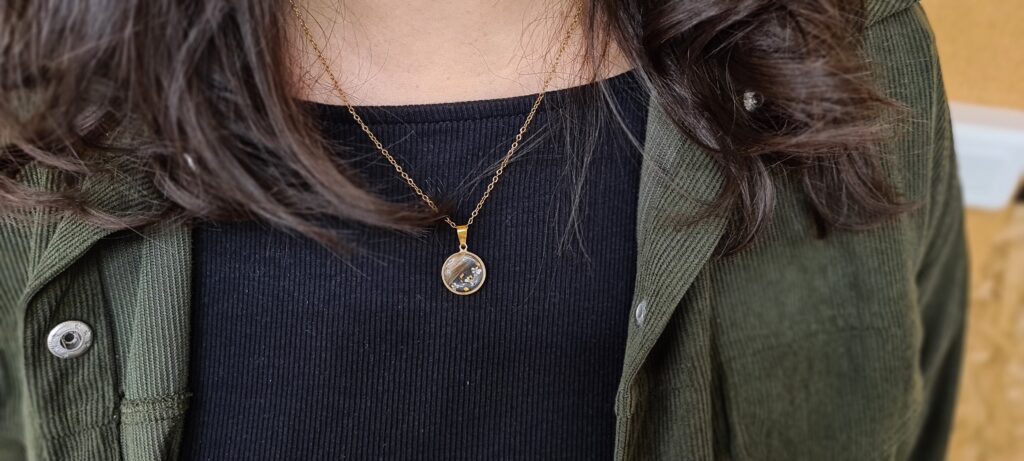 Concours Calendrier de l'Avent Tabby Gris