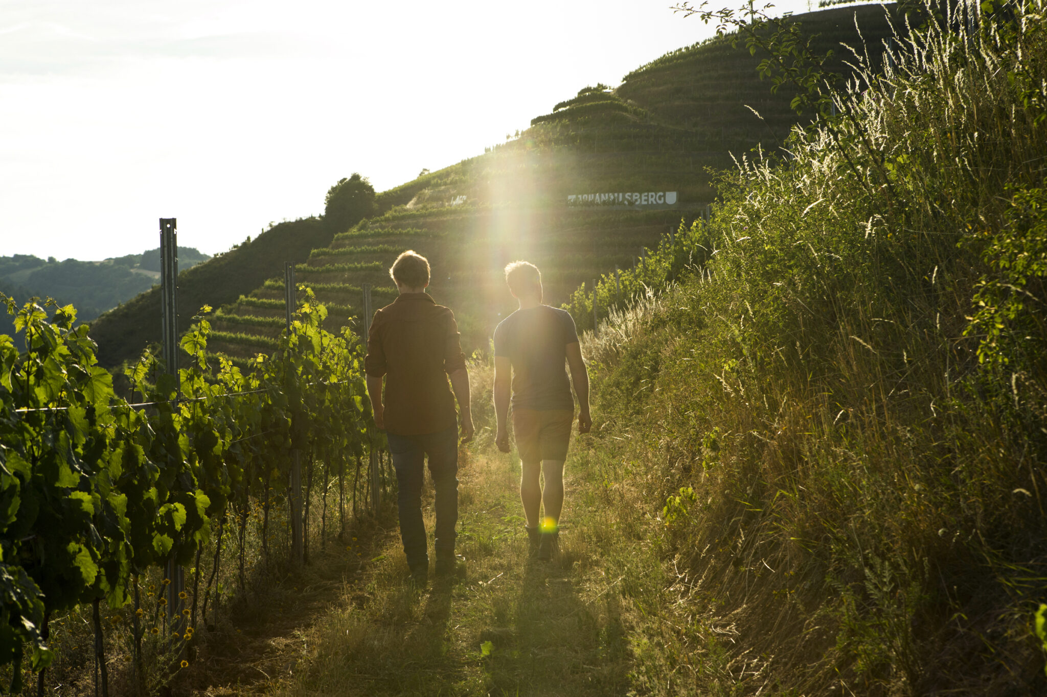 Un-monde-en-bouteille1