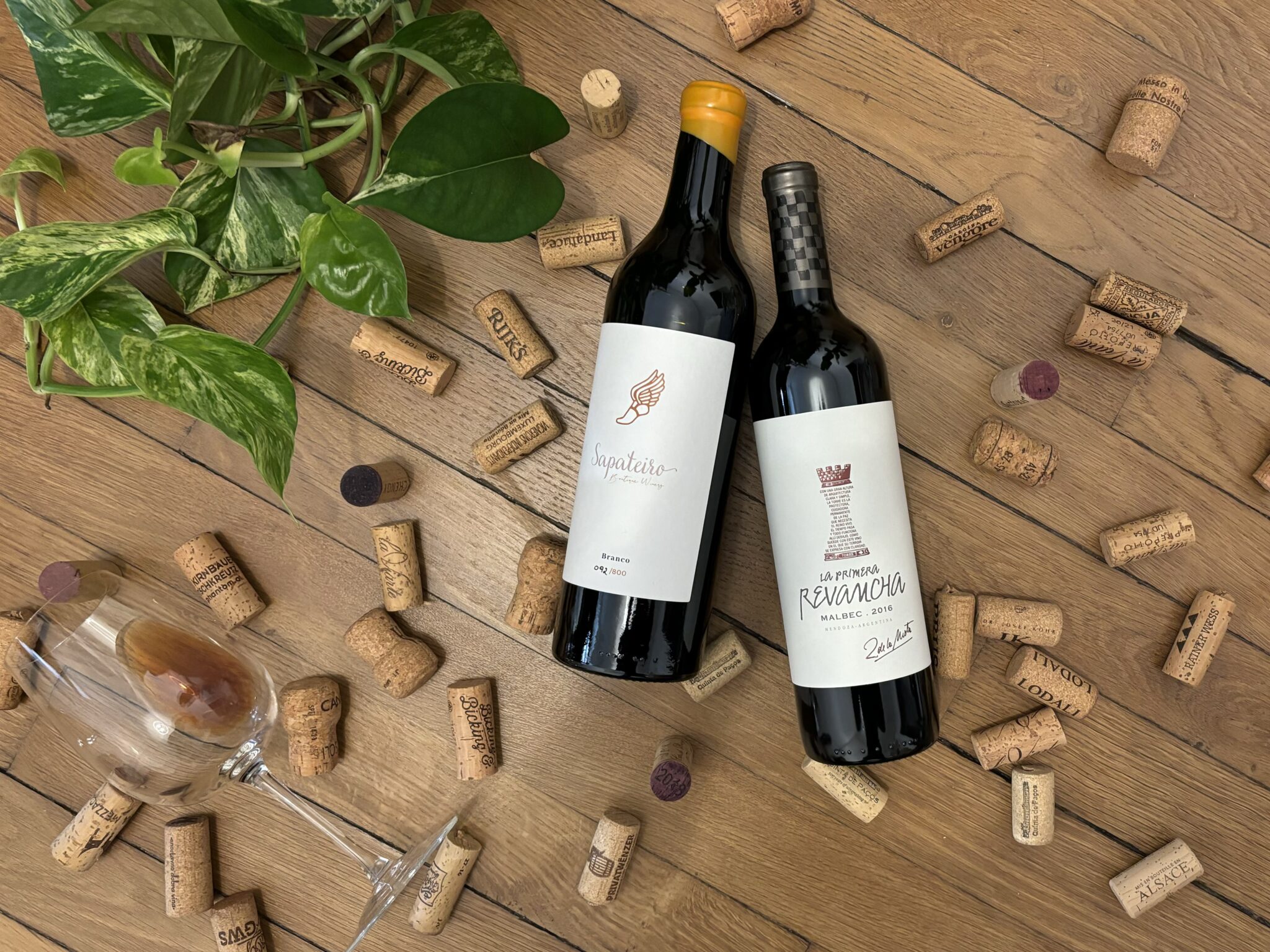 Un-monde-en-bouteille2